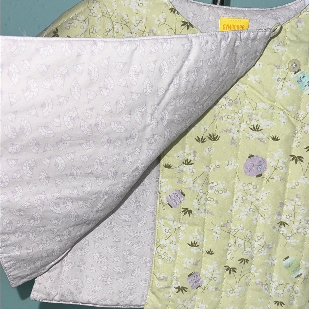Gymboree Pastel Green Kids Jacket - Picture 7 of 10